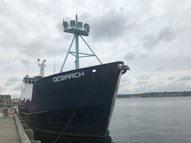 Tag your.. a shark?! @ocearch #NovaScotiaExpedition
