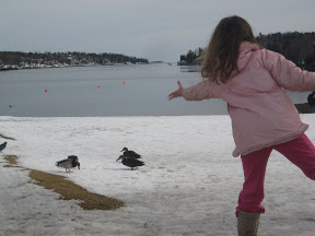 Feeding ducks at Sir Fleming Park in Halifax, Nova Scotia, Canada