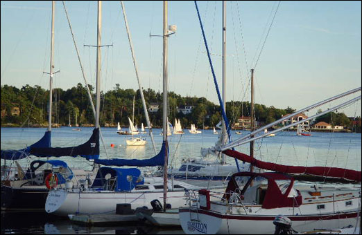 Junior Sailors at the Bedford Basin Yacht Club enjoyed a beautiful night for their final race night of the season.
