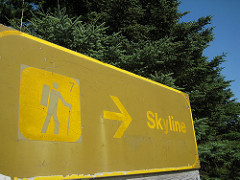 Skyline Trail start