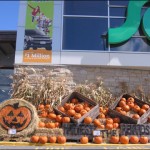 sobeys in the fall