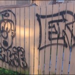 Monday morning revealed graffiti all along Oceanview Drive in Papermill Subdivision. Mailboxes, power boxes, sheds and private property were vandalised.