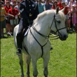Justice the Police Horse was 23 years old when he passed away last month due to health complications.
