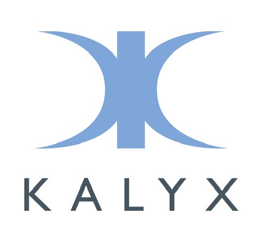 kalyx: eco friendly sports bras & apparel –
