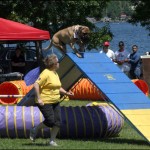 Bedford Days: Dog Day of Summer