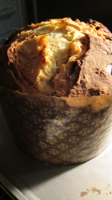 Panettone, Revisited