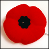 Remembrance Day ceremony change of venue