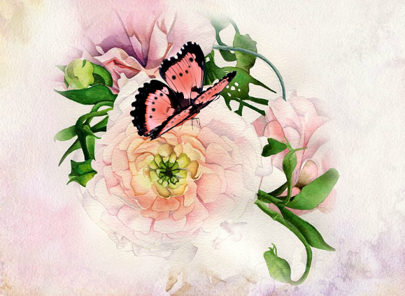turning hand-painted watercolors into animated e-cards