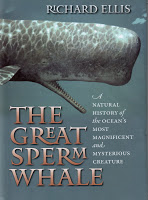 Staff Pick : The Great Sperm Whale by Richard Ellis