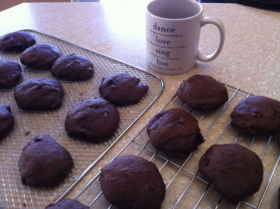 Double Chocolate Coffee Cookies