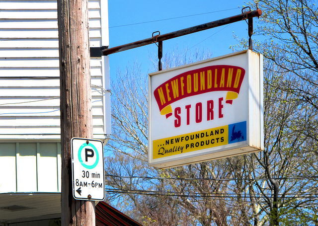 The Newfoundland Store