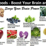 Boost Your Memory w/ These Food Picks
