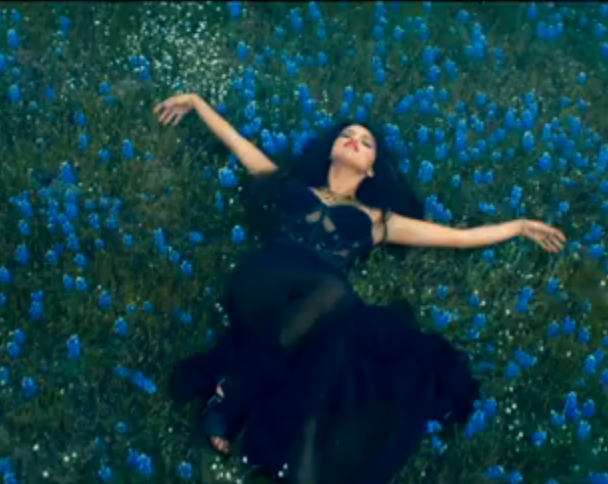 Selena-Gomez-flower-field