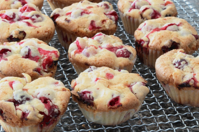 cranberry cupcake byThe Culinary Chase