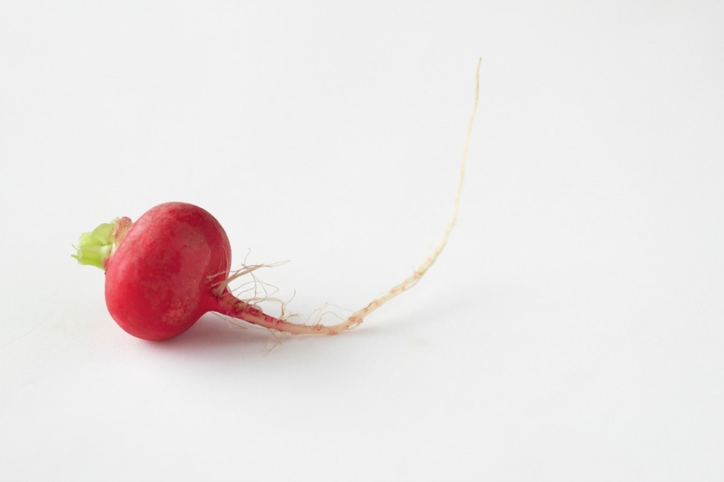 radish by The Culinary Chase