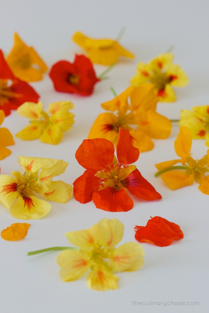 nasturtiums by The Culinary Chase