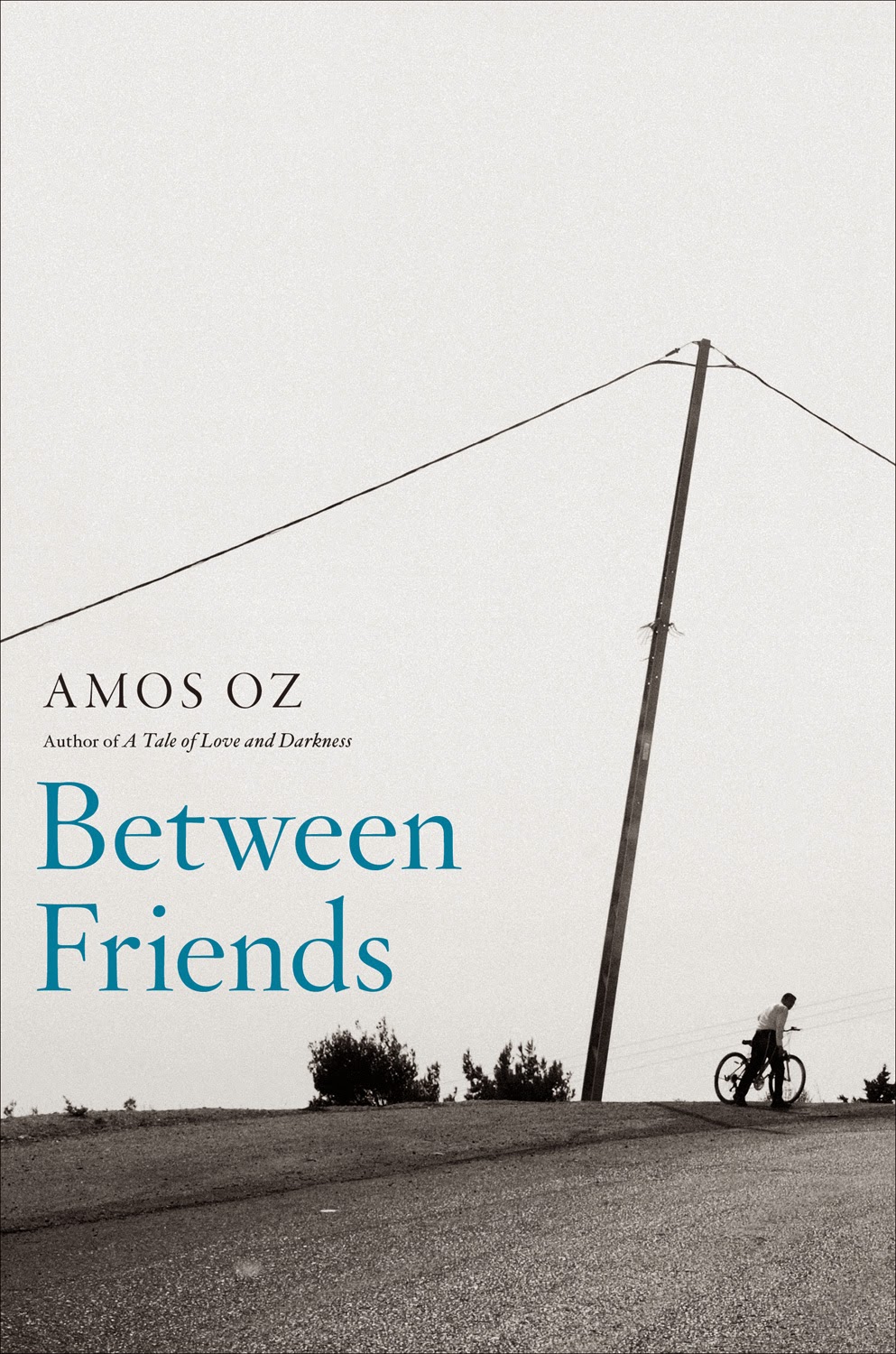 http://discover.halifaxpubliclibraries.ca/?q=title:%22between%20friends%22amos