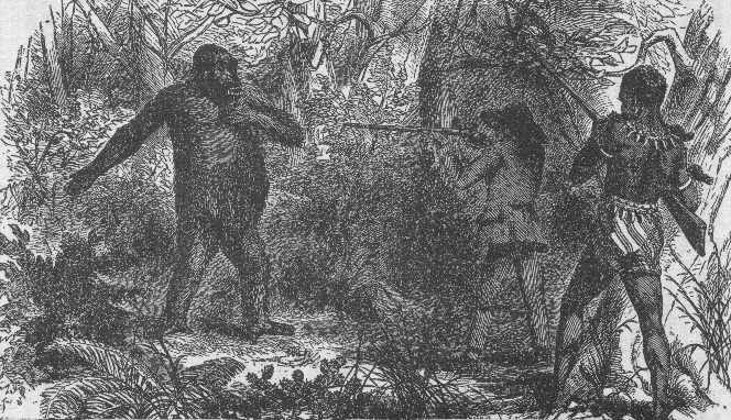 http://en.wikipedia.org/wiki/File:French_explorer_Paul_du_Chaillu_at_close_quarters_with_a_gorilla.jpg