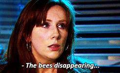 disappearing bees doctor who