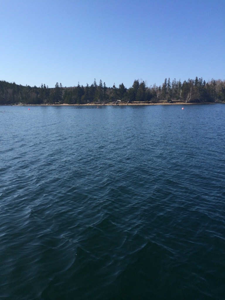 Approaching Timmins Cove Where we landed