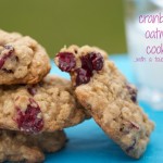 cranberry oatmeal cookies