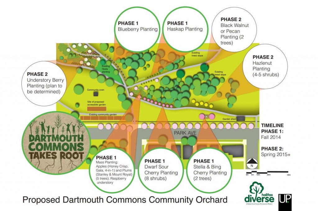Orchard Plans 