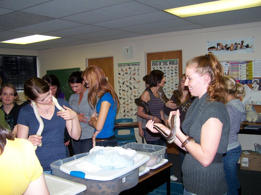 Veterinary Assistant Class at MBC