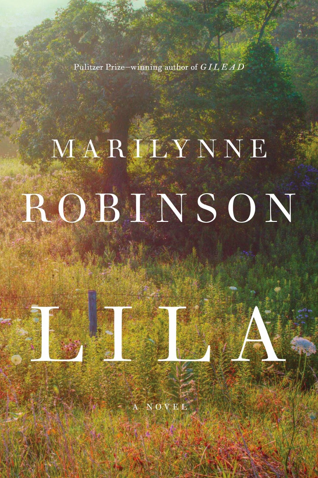 http://discover.halifaxpubliclibraries.ca/?q=title:lila%20author:robinson
