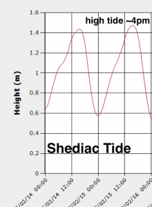 Shediac tides
