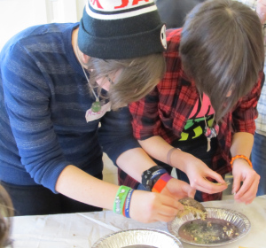 Above:  MickeyMickey Williams (Left) and Rachel St. Jean (Right) are in the final stages of the seed cleaning adventure – removing any remaining chaff by hand).