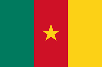 https://en.wikipedia.org/wiki/Flag_of_Cameroon#/media/File:Flag_of_Cameroon.svg