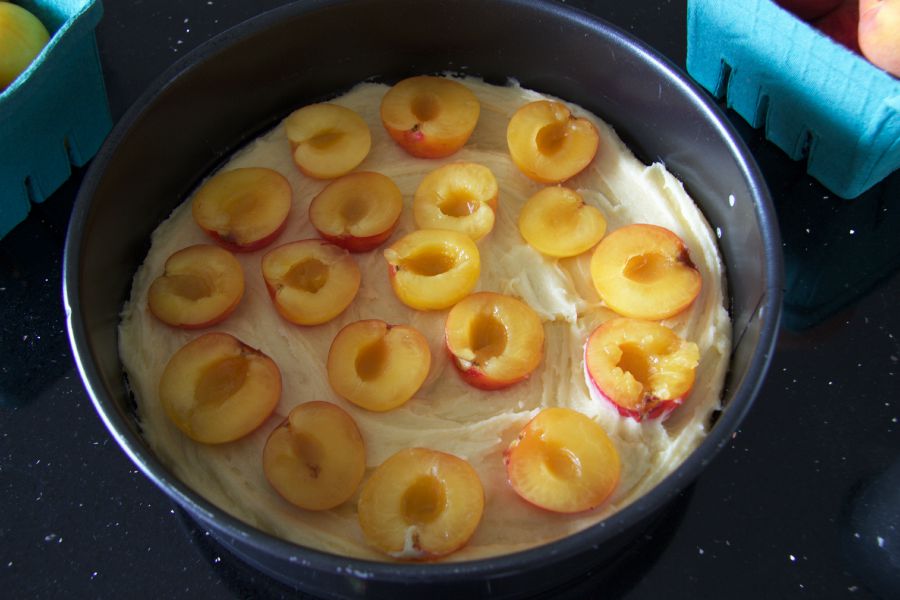 plum halves in batter