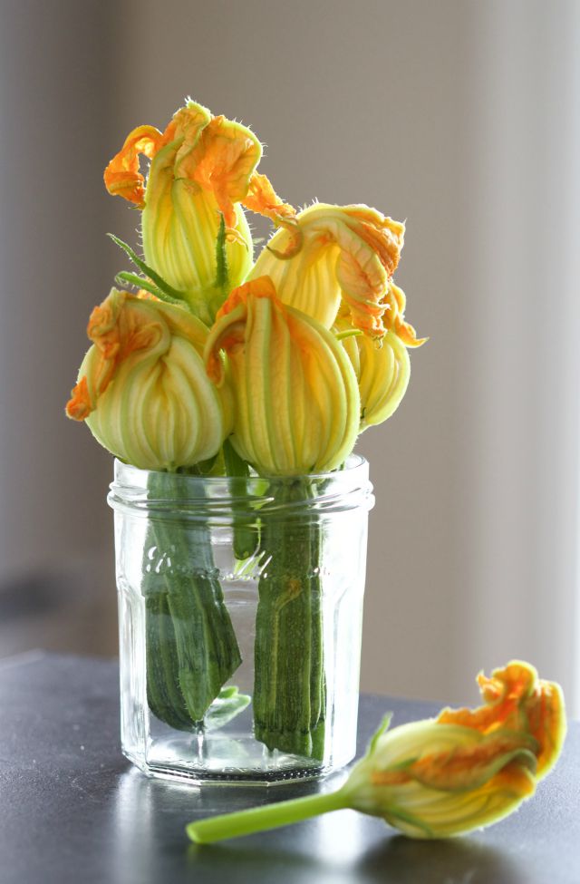 zucchini blossoms