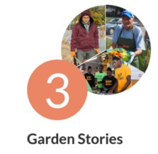 garden stories