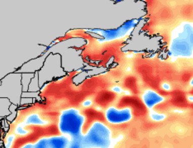 Sea Surface Temperatures: red is above normal 