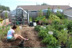 Megan Moss digging potatoes