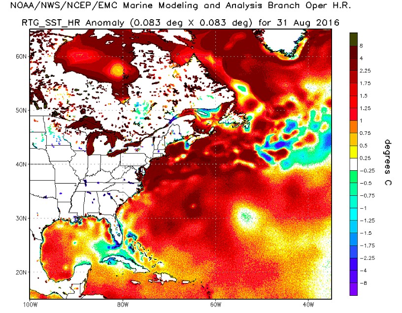 Sea Surface Temperature Anomalies (red warmer than normal)