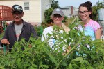 Fred, Kimmy, and Megan inspecting the tomatoes