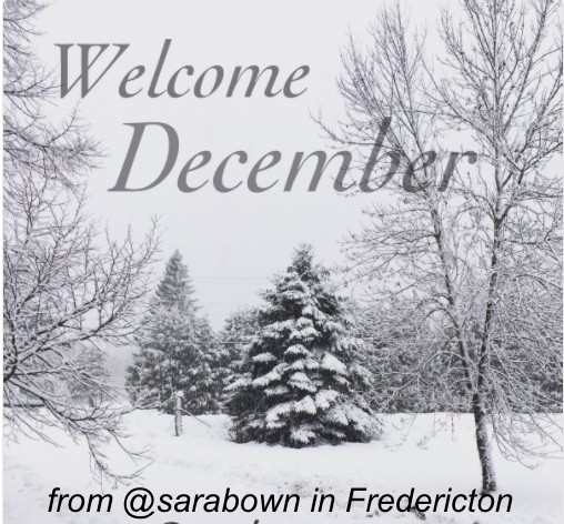 December 01
Fredericton