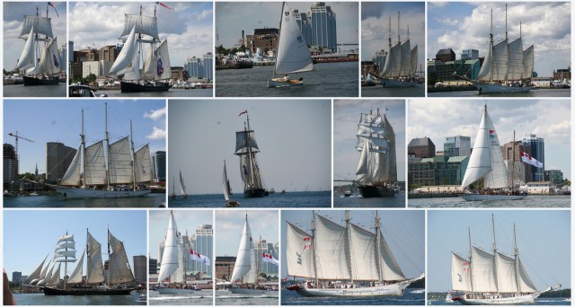 Parade of Sail Photos