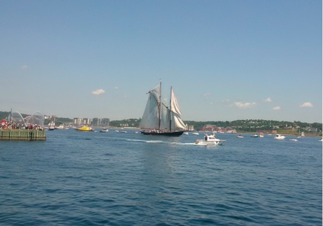 Parade of Sail