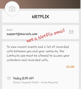 Netflix Phising Scam 4