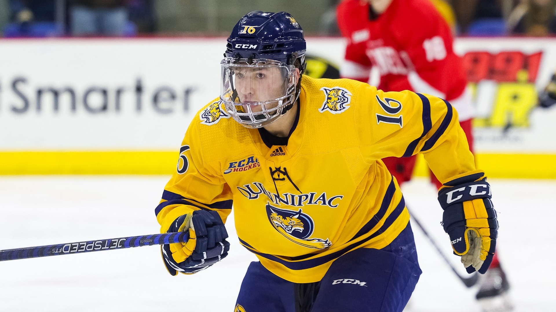 Dartmouth's Jacob Quillan signed to Maple Leafs – haligonia.ca